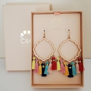 NWOT boho multi-color tassel earrings